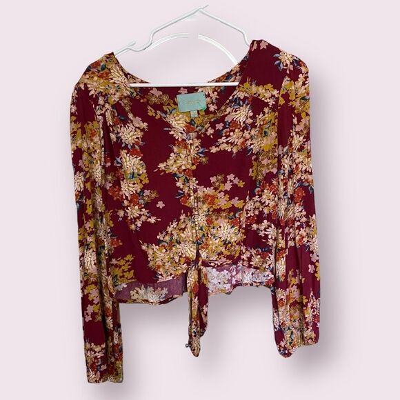 Skies Are Blue Tops - Urban Outfitters size medium Skies Are Blue floral button front tie crop blouse